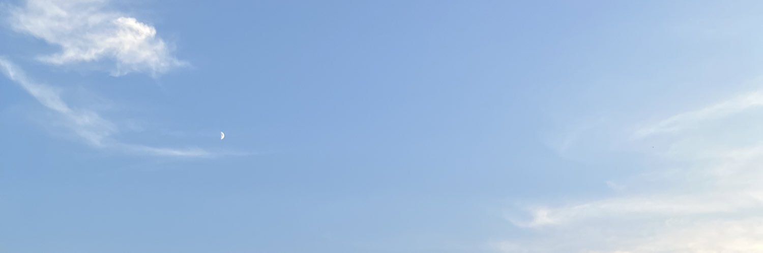 шанті banner
