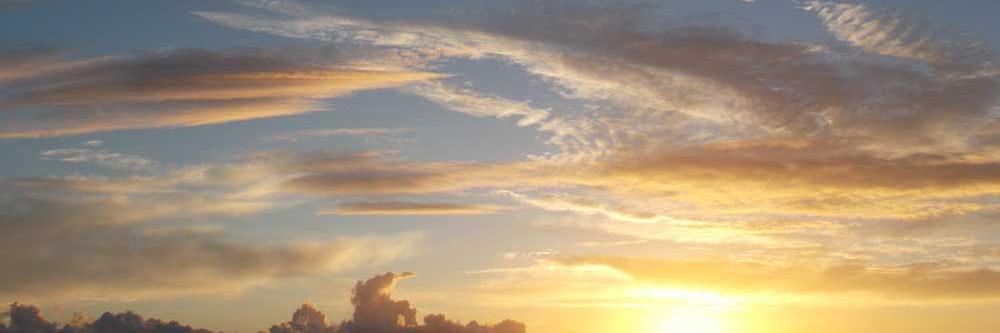 Caring World banner
