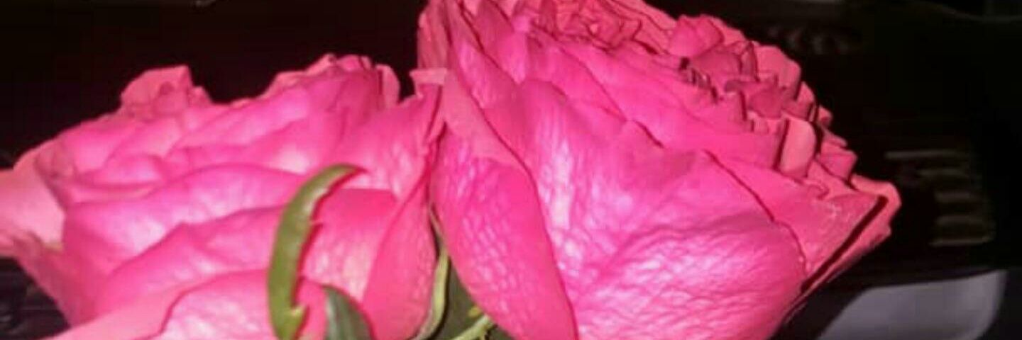 _deersalah's profile banner image