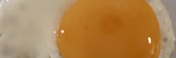 meloccaros Profile Banner