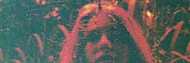 ViewFromMyEyes's profile banner image