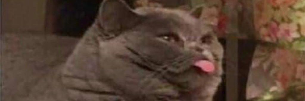 1y1e's profile banner image