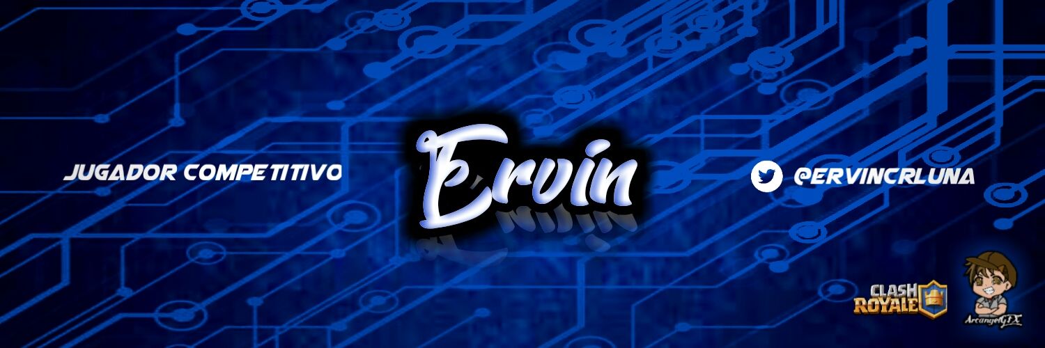 ervin banner