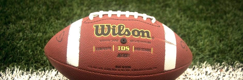 Lindsay Wilson banner