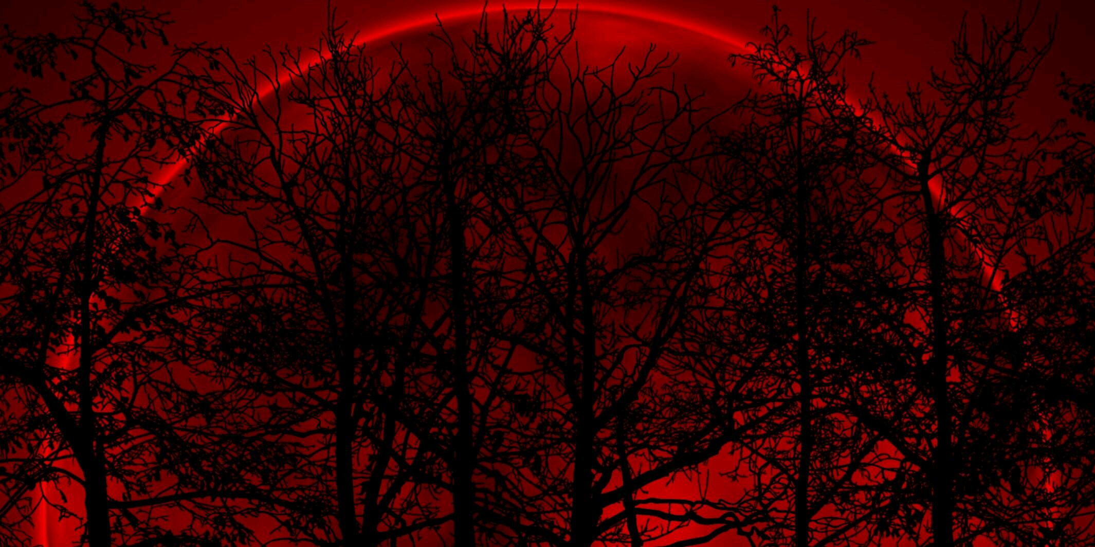 Cranio_Espada's profile banner image