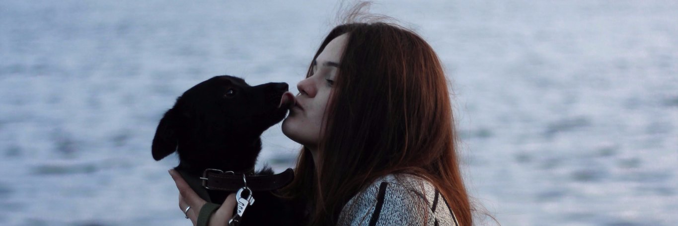 VikaLikeLike's profile banner image