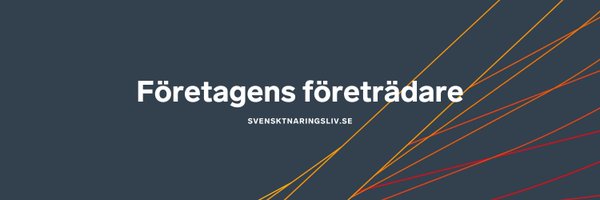 svenaringsliv Profile Banner