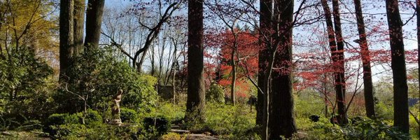 LyleOstrow Profile Banner