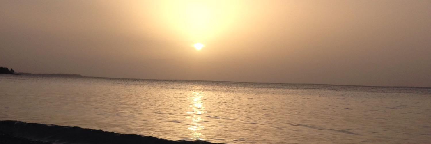 sharoncorrea's profile banner image
