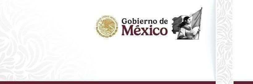 INEA Michoacán banner