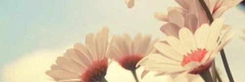 LGordon73's profile banner image