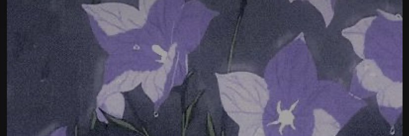 Lana banner