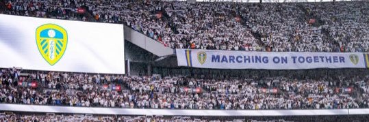 Dan banner