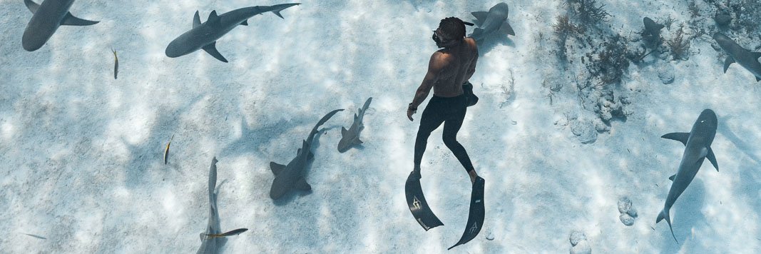 André Musgrove | Underwater banner