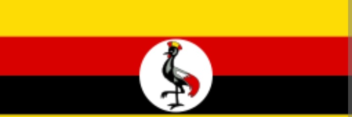 izzybimz's profile banner image