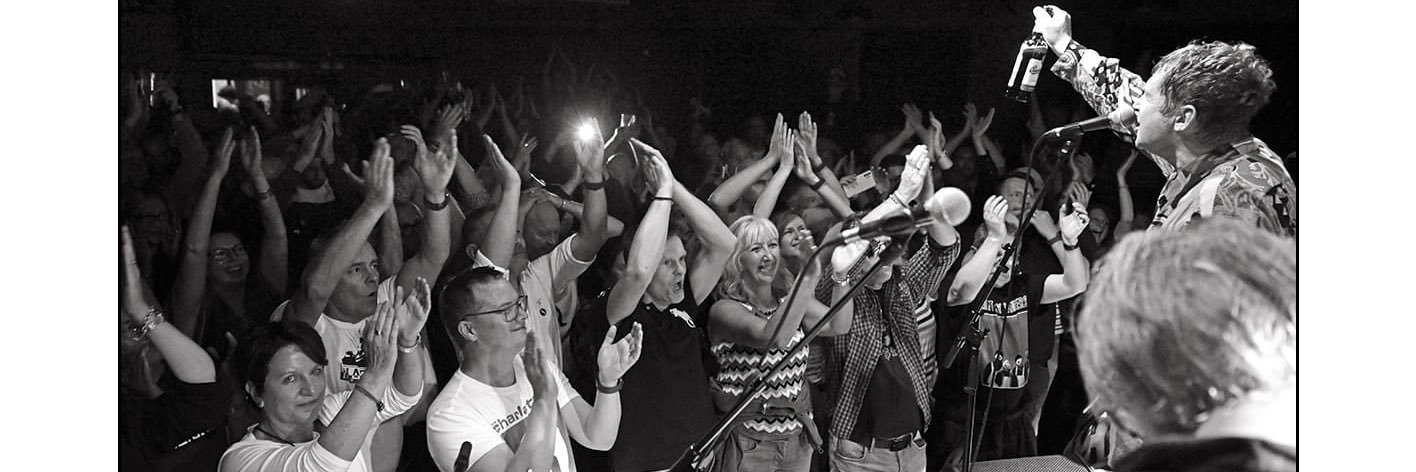 milltown brothers 🍏 banner