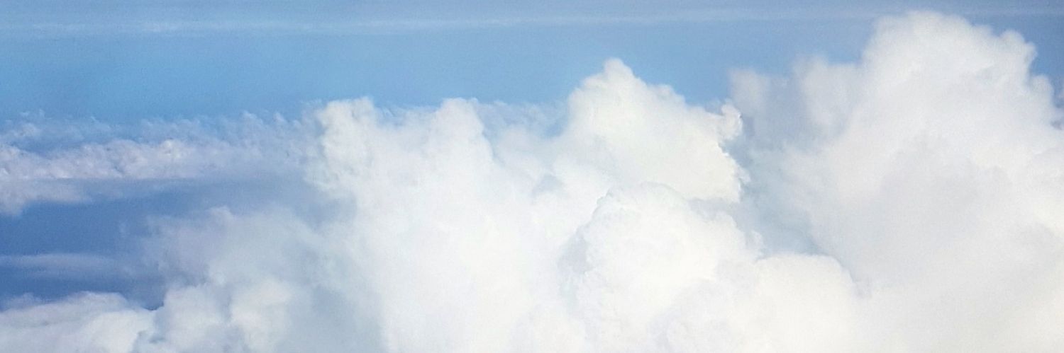 Ilaria banner