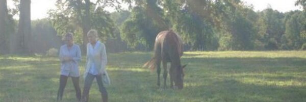 Cococontreras Profile Banner