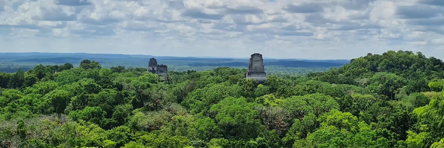 Mr MaldiTof✨️🧫🧬🤠 banner