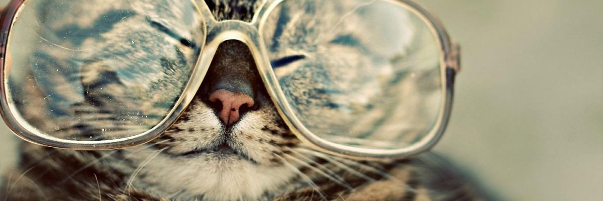 dhieya_'s profile banner image