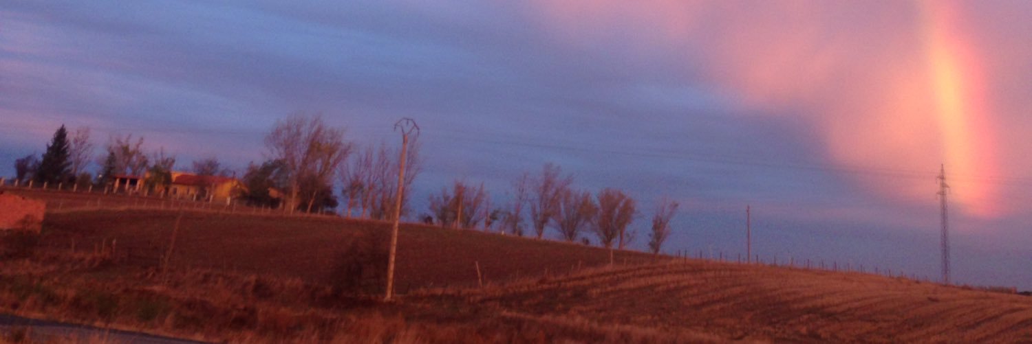 Galia1991's profile banner image