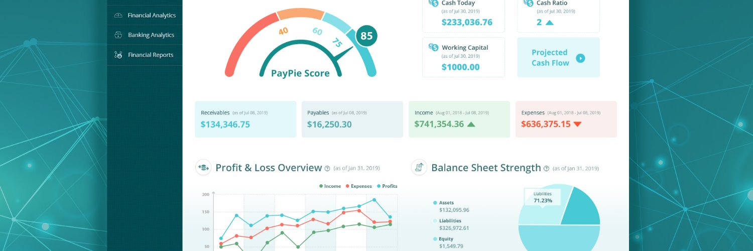 PayPiePlatform banner