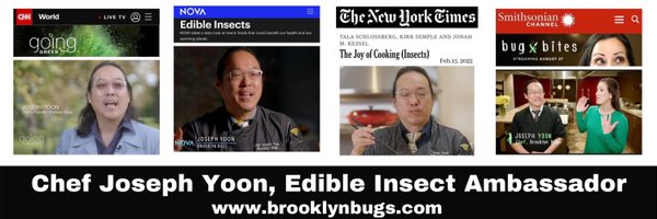 Brooklynbugs17 Profile Banner
