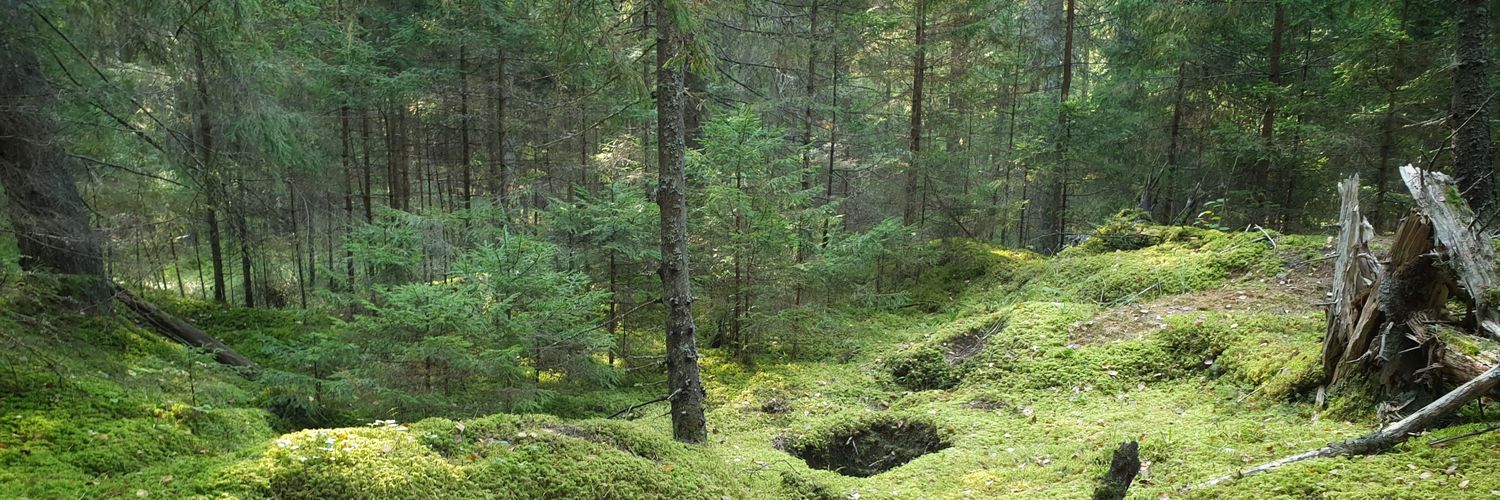 storm--witch Ⓐ 🏳️‍🌈 banner