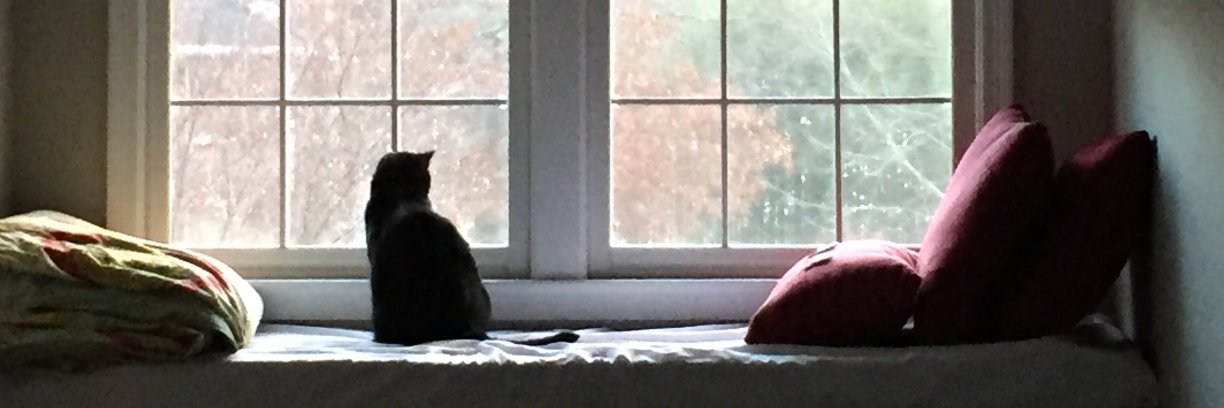 Stephanie Sibicky banner