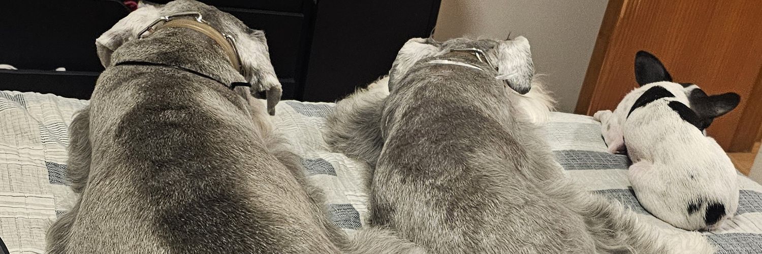 jessbethonico's profile banner image