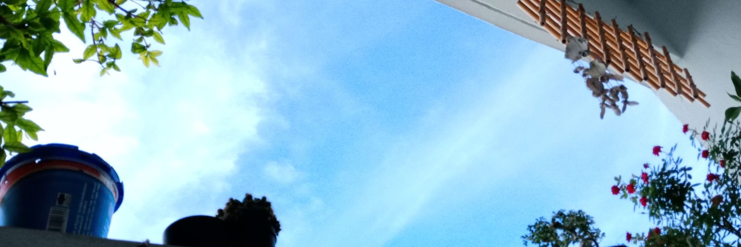 zomeun's profile banner image