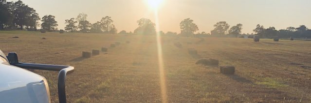 branson_hall's profile banner image