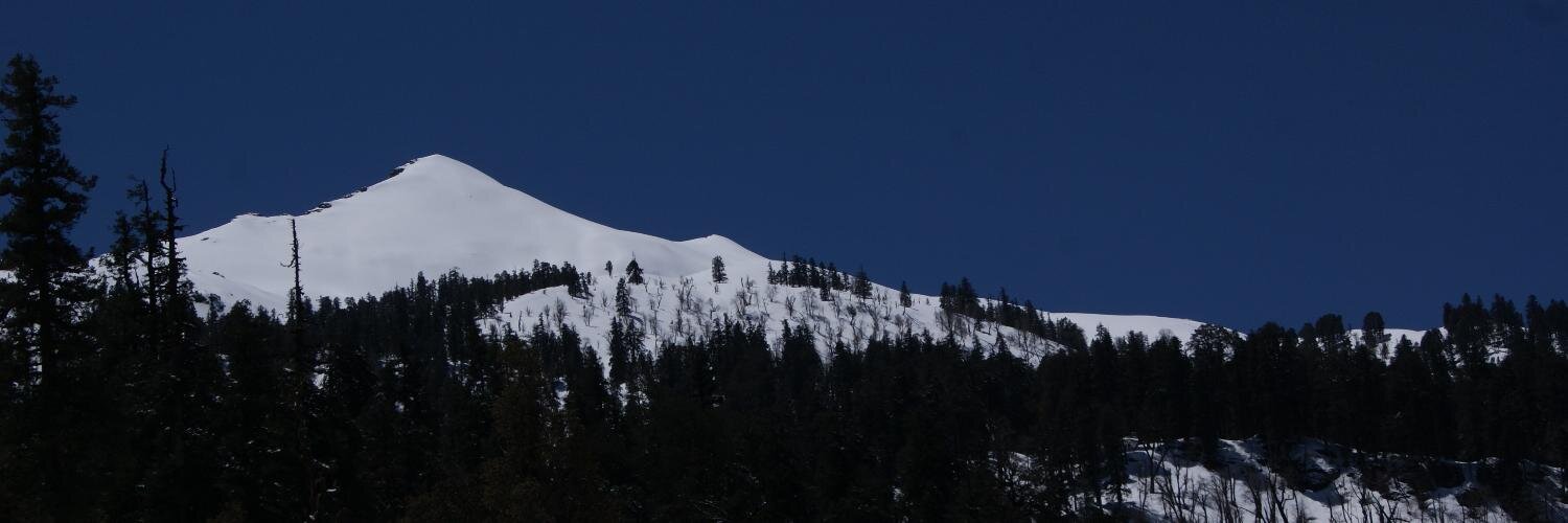 XYPsyche's profile banner image