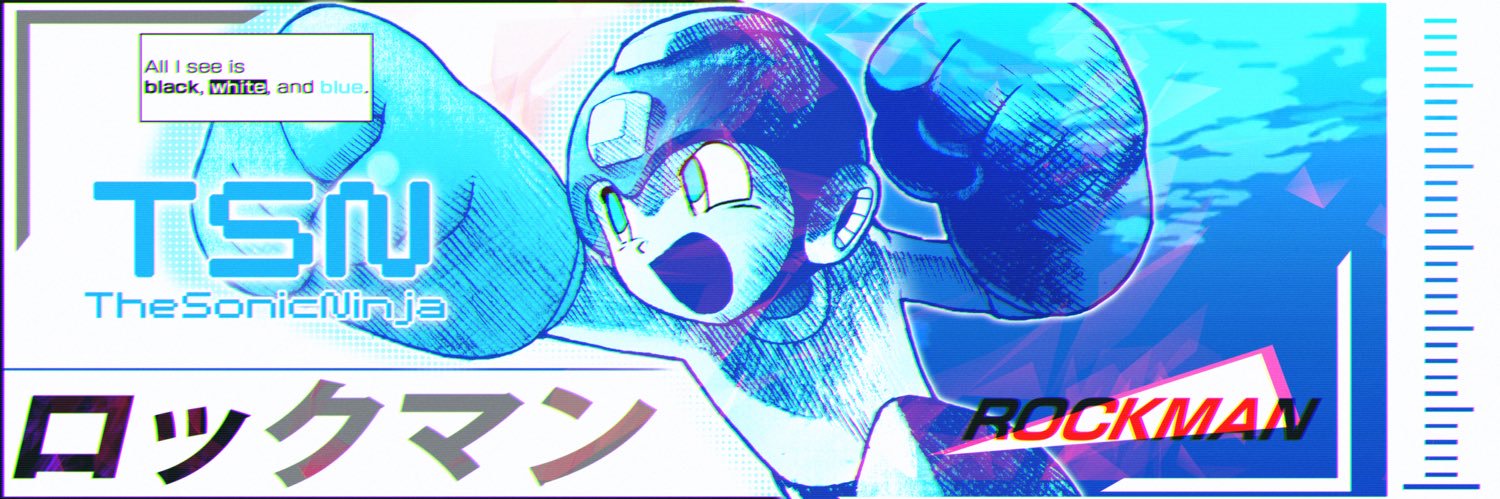 TheSonicNinja's banner