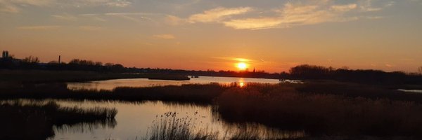 AugMireille Profile Banner