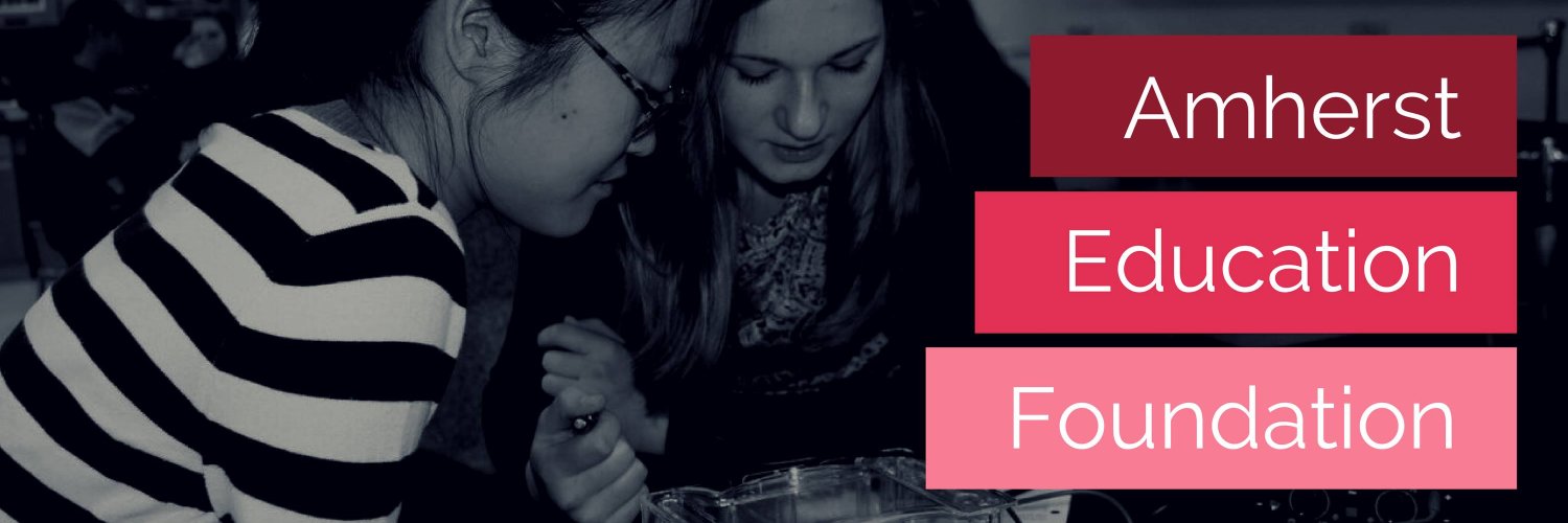 Amherst Education Foundation banner