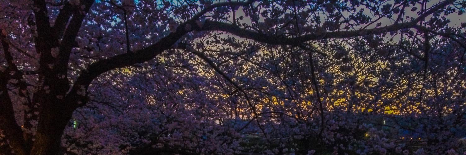fmc8855's profile banner image