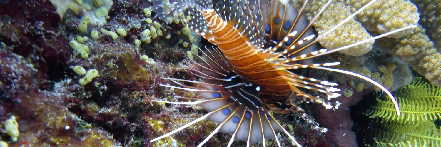 snipsniphands banner