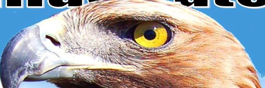 JacobsBoosters's profile banner image