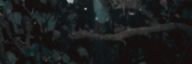 daiistyle's profile banner image