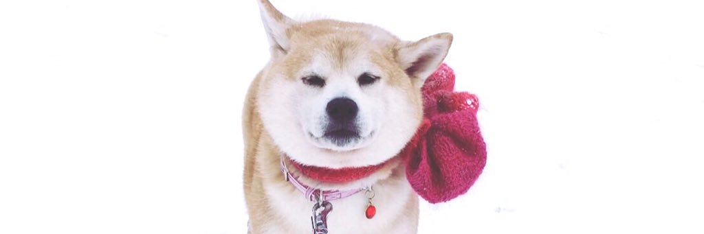 imako_d's profile banner image