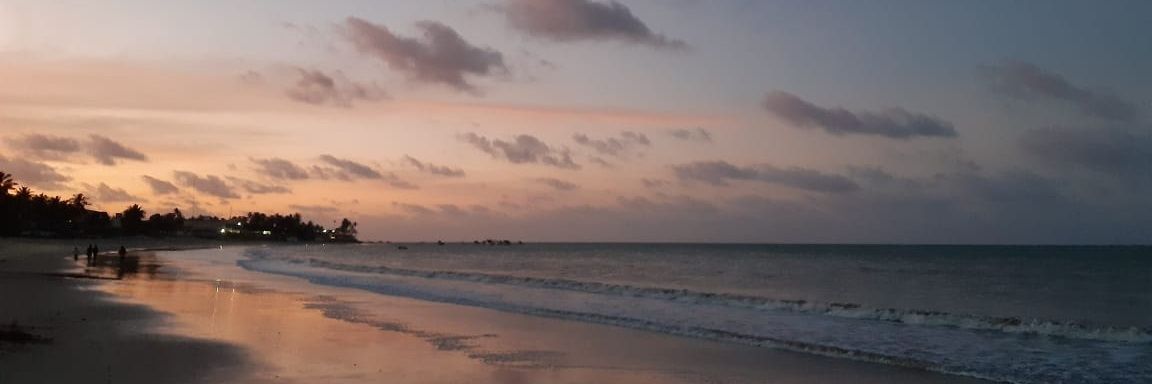 jena_alves's profile banner image