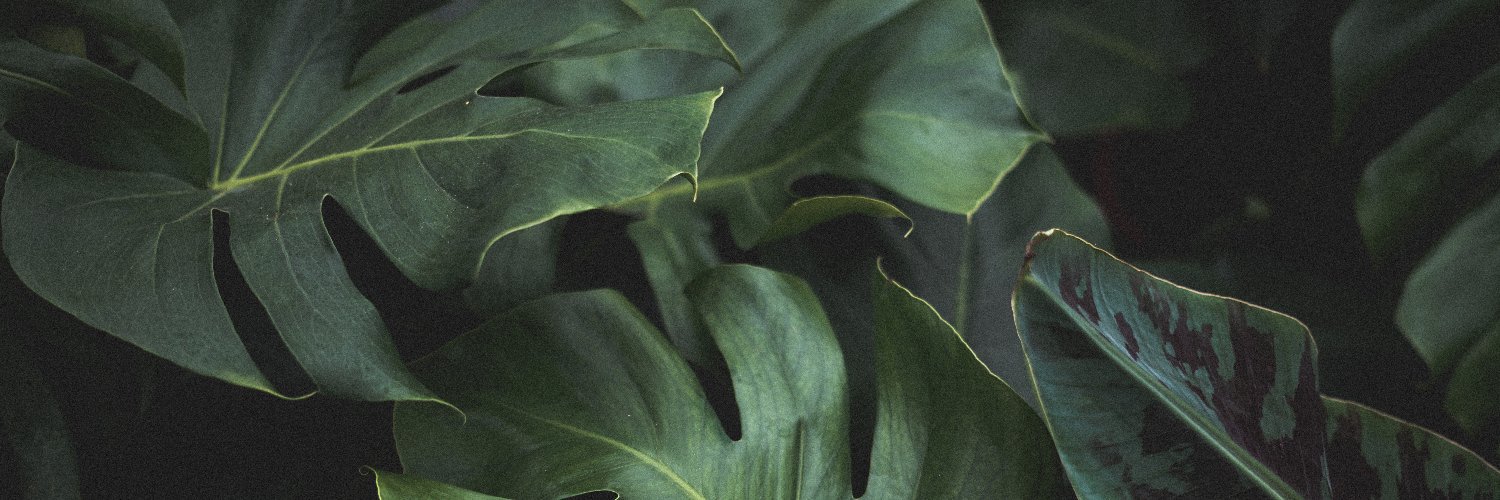 fedoverseas's profile banner image