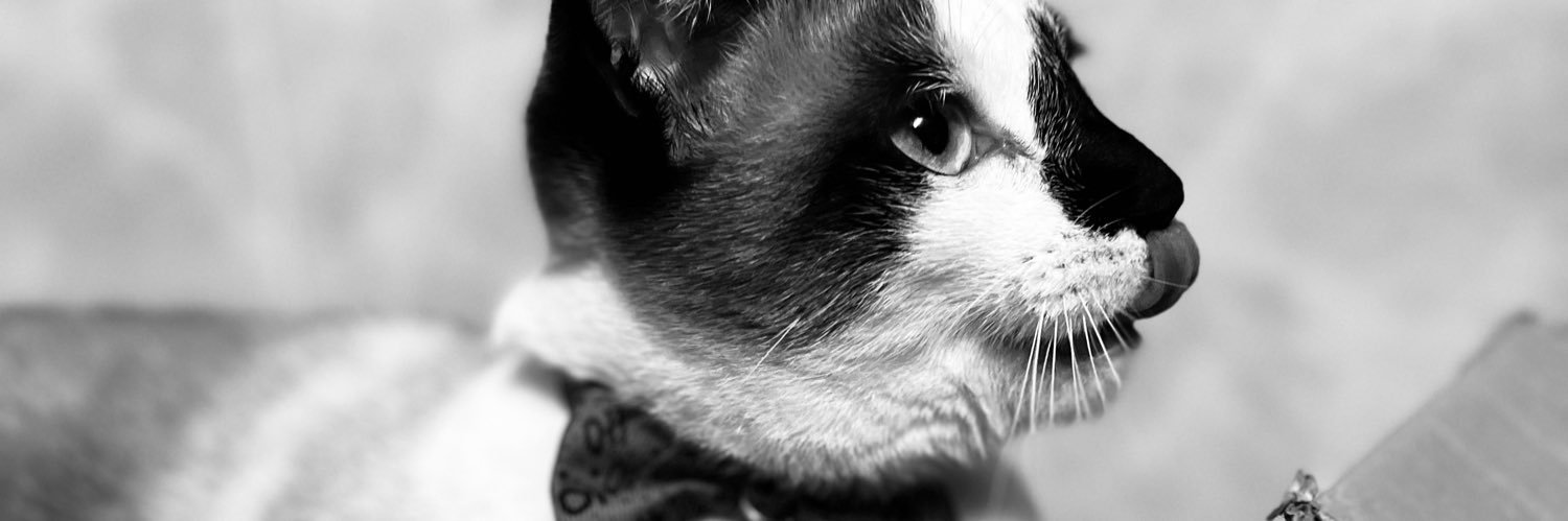 arjo_belen's profile banner image