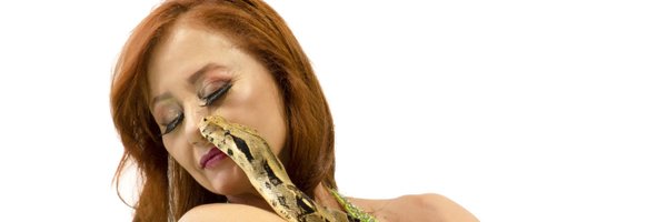 Wrada Profile Banner