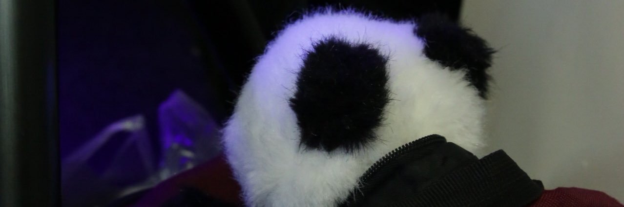 テレシマ テレサ banner