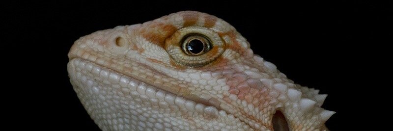 AndyTailzer's profile banner image