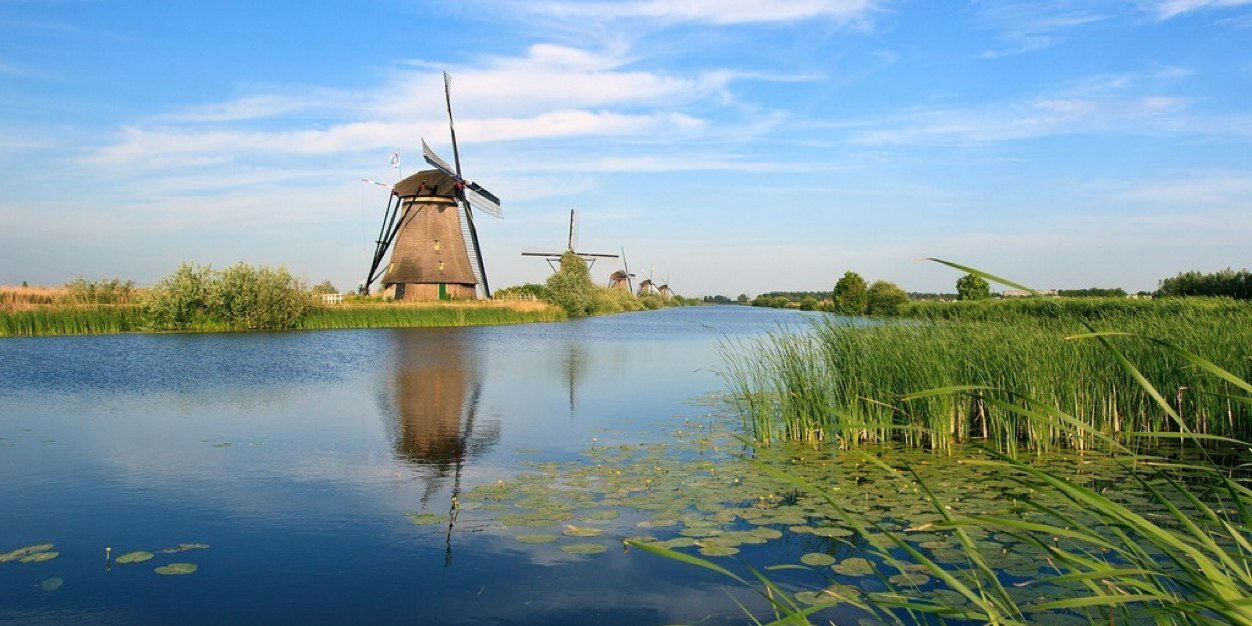 Cemali Gülcan banner