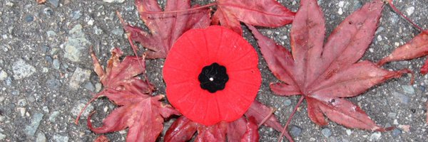 StephenMLloyd2 Profile Banner