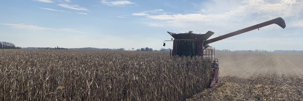 Jillohm_ Profile Banner